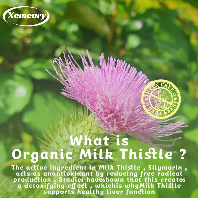 Milk Thistle Capsules 1000mg - - Milk Thistle Silymarin review and price