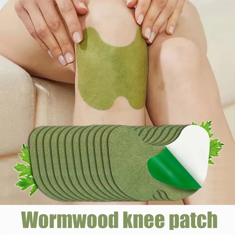 10pcs Wormwood Knee Plaster Ch - Herbal And Wellness review and price